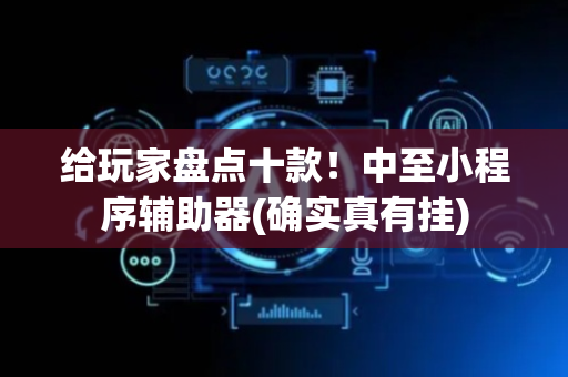 给玩家盘点十款！中至小程序辅助器(确实真有挂)