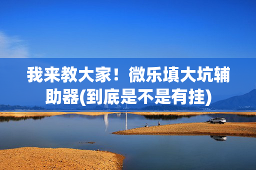 我来教大家！微乐填大坑辅助器(到底是不是有挂)
