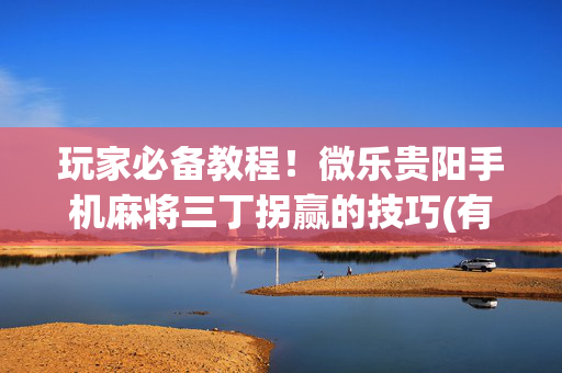 玩家必备教程！微乐贵阳手机麻将三丁拐赢的技巧(有挂技巧辅助器)