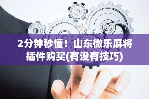 2分钟秒懂！山东微乐麻将插件购买(有没有技巧)
