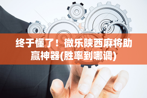 终于懂了！微乐陕西麻将助赢神器(胜率到哪调)