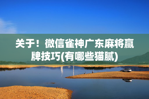 关于！微信雀神广东麻将赢牌技巧(有哪些猫腻)