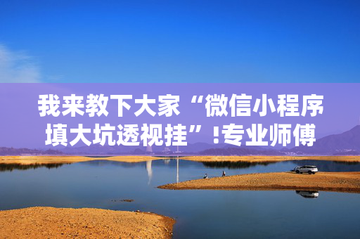 我来教下大家“微信小程序填大坑透视挂”!专业师傅带你一起了解（详细教程）-抖音