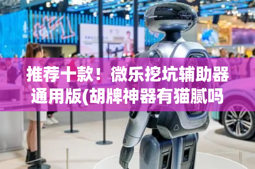 推荐十款！微乐挖坑辅助器通用版(胡牌神器有猫腻吗)