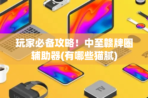 玩家必备攻略！中至赣牌圈辅助器(有哪些猫腻)