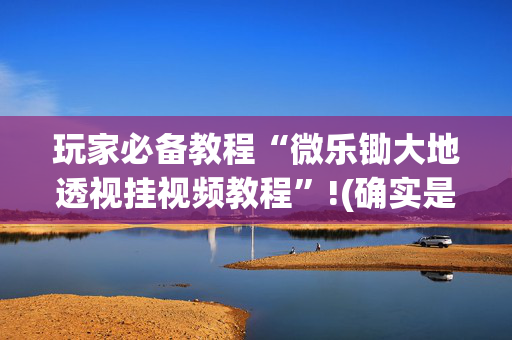 玩家必备教程“微乐锄大地透视挂视频教程”!(确实是有挂)-抖音