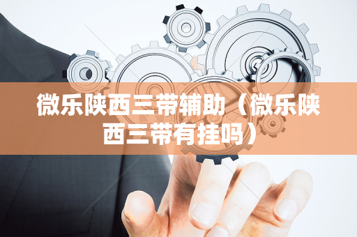 微乐陕西三带辅助（微乐陕西三带有挂吗）