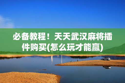 必备教程！天天武汉麻将插件购买(怎么玩才能赢)