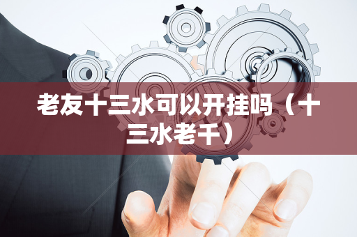 老友十三水可以开挂吗（十三水老千）
