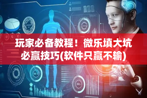 玩家必备教程！微乐填大坑必赢技巧(软件只赢不输)