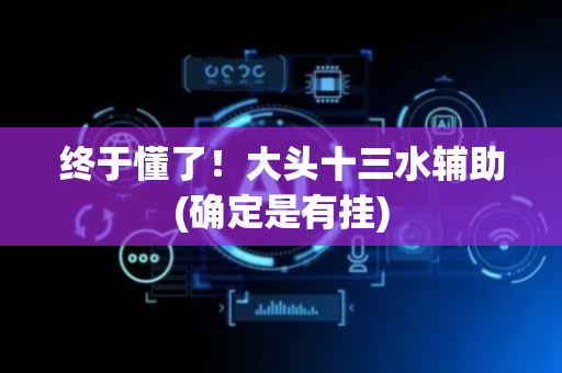 终于懂了！大头十三水辅助(确定是有挂)