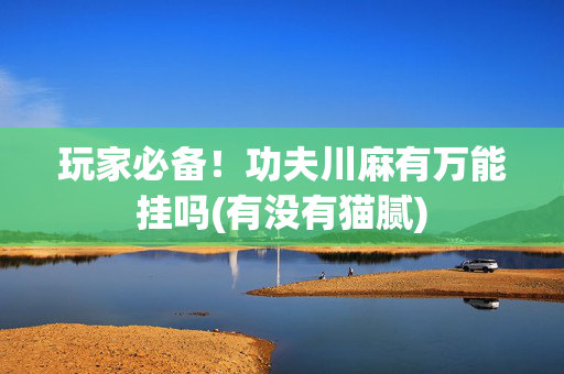 玩家必备！功夫川麻有万能挂吗(有没有猫腻)