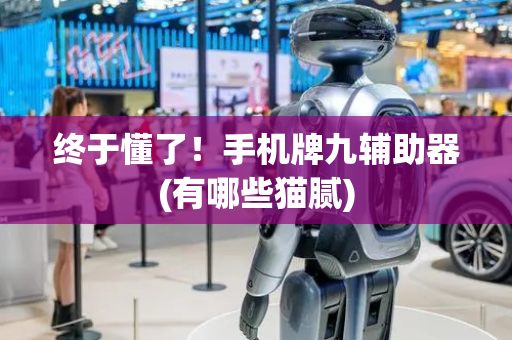终于懂了！手机牌九辅助器(有哪些猫腻)