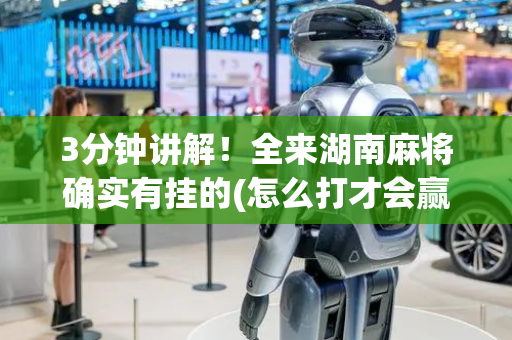 3分钟讲解！全来湖南麻将确实有挂的(怎么打才会赢)
