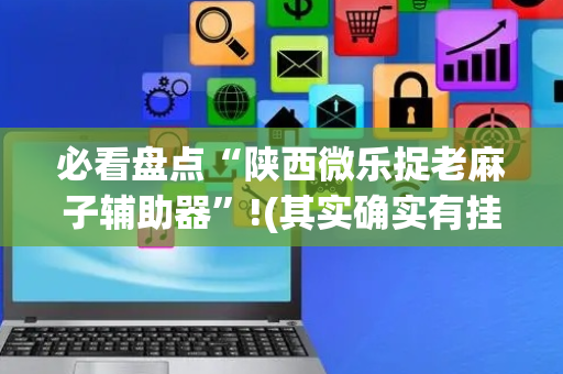 必看盘点“陕西微乐捉老麻子辅助器”!(其实确实有挂)-抖音