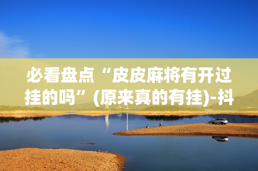 必看盘点“皮皮麻将有开过挂的吗”(原来真的有挂)-抖音