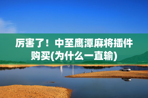 厉害了！中至鹰潭麻将插件购买(为什么一直输)
