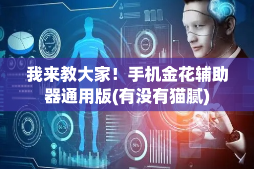 我来教大家！手机金花辅助器通用版(有没有猫腻)