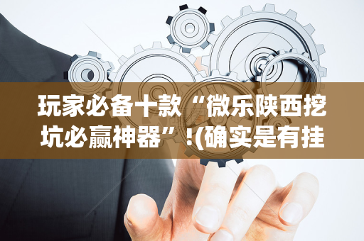 玩家必备十款“微乐陕西挖坑必赢神器”!(确实是有挂)-抖音