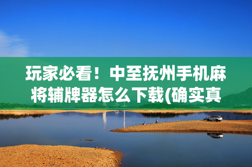 玩家必看！中至抚州手机麻将辅牌器怎么下载(确实真的有挂)