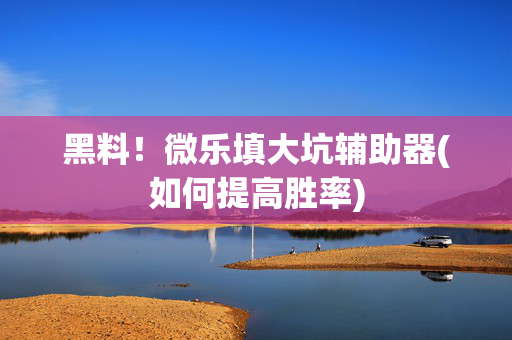 黑料！微乐填大坑辅助器(如何提高胜率)