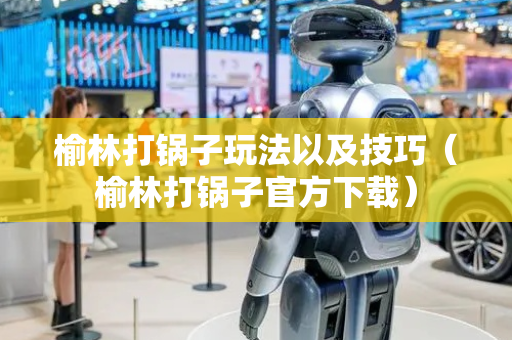 榆林打锅子玩法以及技巧（榆林打锅子官方下载）