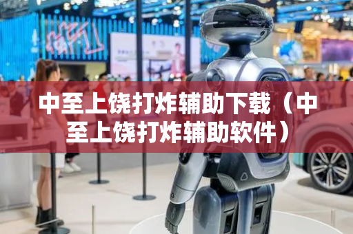 中至上饶打炸辅助下载（中至上饶打炸辅助软件）