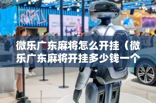 微乐广东麻将怎么开挂（微乐广东麻将开挂多少钱一个）