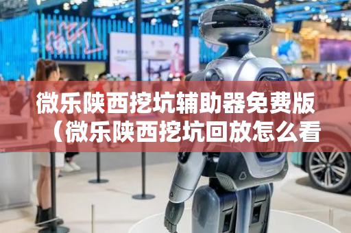 微乐陕西挖坑辅助器免费版（微乐陕西挖坑回放怎么看）