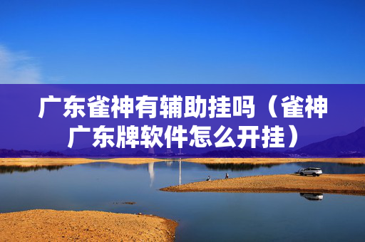 广东雀神有辅助挂吗（雀神广东牌软件怎么开挂）