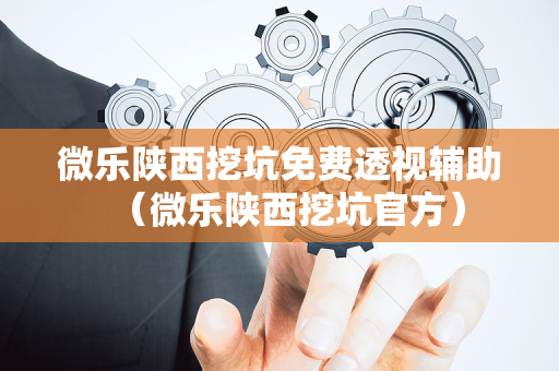 微乐陕西挖坑免费透视辅助（微乐陕西挖坑官方）