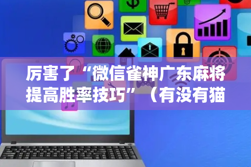 厉害了“微信雀神广东麻将提高胜率技巧”（有没有猫腻)