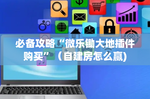 必备攻略“微乐锄大地插件购买”（自建房怎么赢)