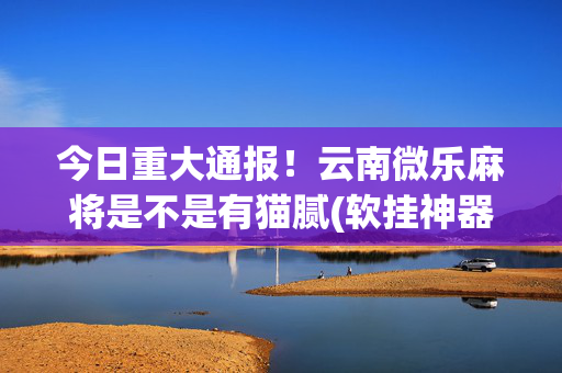 今日重大通报！云南微乐麻将是不是有猫腻(软挂神器)