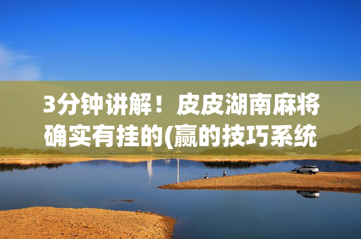 3分钟讲解！皮皮湖南麻将确实有挂的(赢的技巧系统规律)