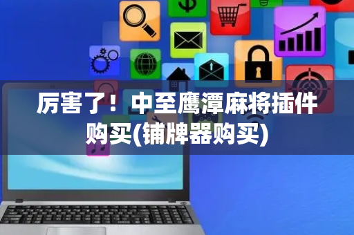 厉害了！中至鹰潭麻将插件购买(铺牌器购买)