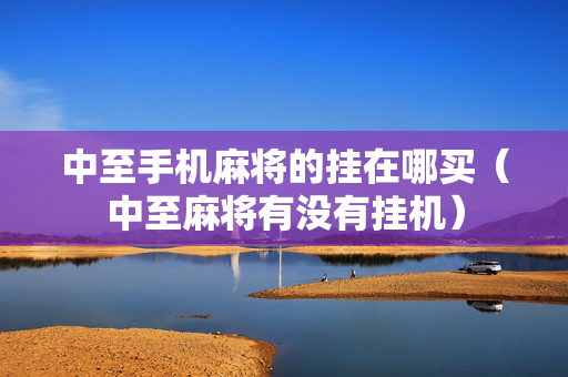 中至手机麻将的挂在哪买（中至麻将有没有挂机）