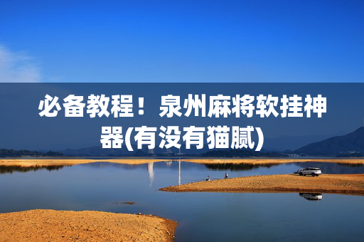必备教程！泉州麻将软挂神器(有没有猫腻)
