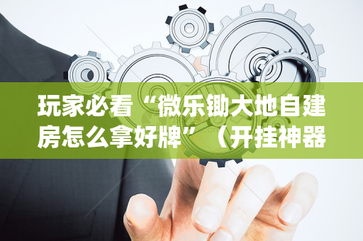 玩家必看“微乐锄大地自建房怎么拿好牌”（开挂神器下载)