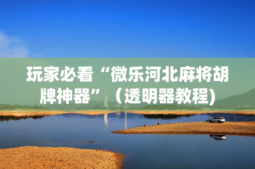 玩家必看“微乐河北麻将胡牌神器”（透明器教程)