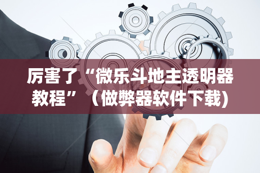 厉害了“微乐斗地主透明器教程”（做弊器软件下载)