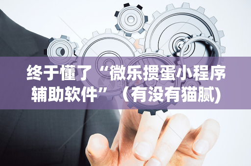 终于懂了“微乐掼蛋小程序辅助软件”（有没有猫腻)