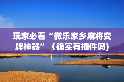 玩家必看“微乐家乡麻将变牌神器”（确实有插件吗)