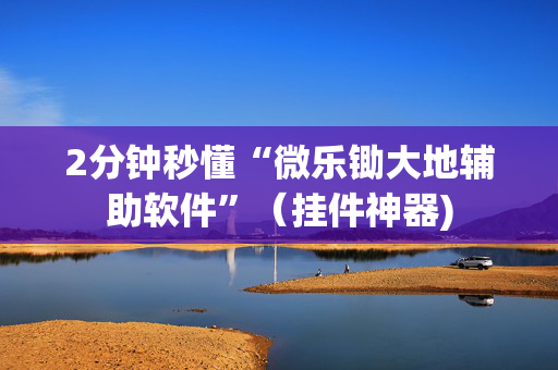 2分钟秒懂“微乐锄大地辅助软件”（挂件神器)