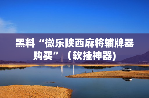 黑料“微乐陕西麻将辅牌器购买”（软挂神器)