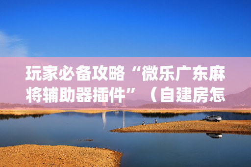 玩家必备攻略“微乐广东麻将辅助器插件”（自建房怎么赢)