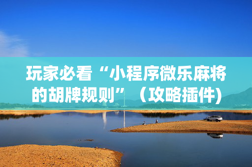 玩家必看“小程序微乐麻将的胡牌规则”（攻略插件)