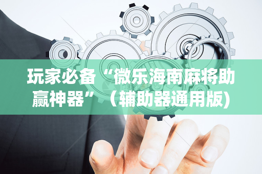 玩家必备“微乐海南麻将助赢神器”（辅助器通用版)