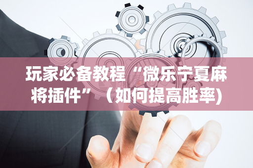 玩家必备教程“微乐宁夏麻将插件”（如何提高胜率)