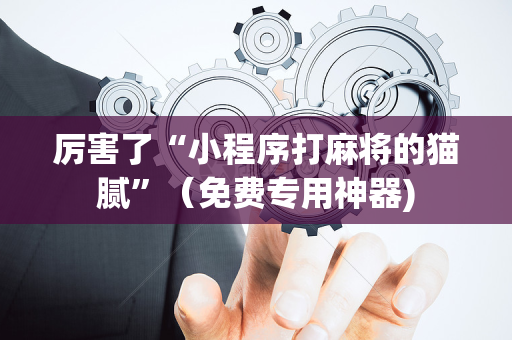 厉害了“小程序打麻将的猫腻”（免费专用神器)